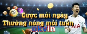 okvin